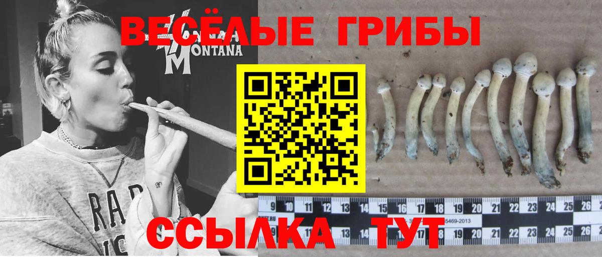 Псилоцибиновые грибы MAGIC MUSHROOMS  Вход с VPN  Галлюциногенные грибы ЛСД  Родники 